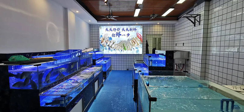 Two-tier movable seafood tank (8)