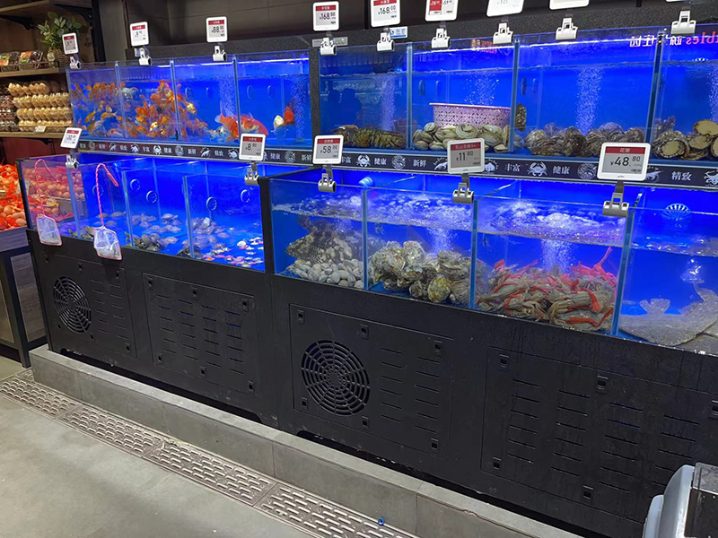 Cuboid seafood tank (6)