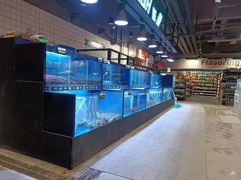 Cuboid cabinet rounded corners seafood tank (3)