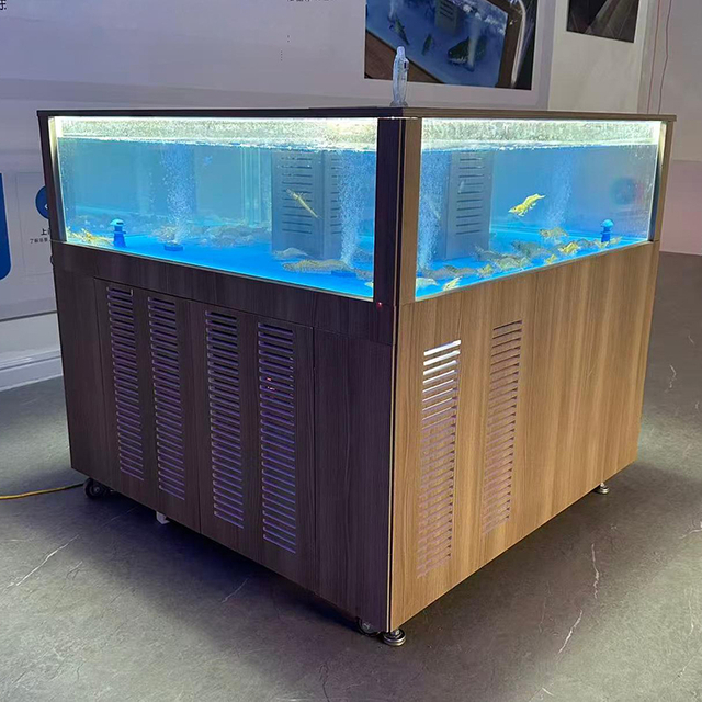 Supermarket seafood tanks
