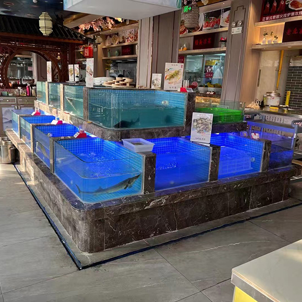 Supermarket seafood tanks