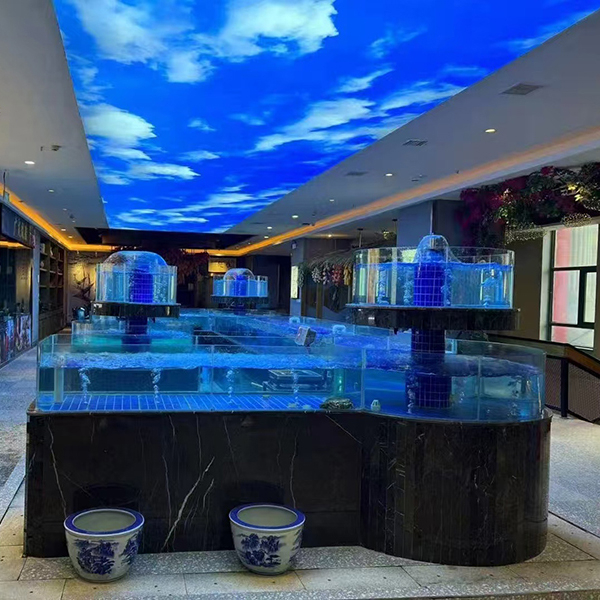 Supermarket seafood tanks