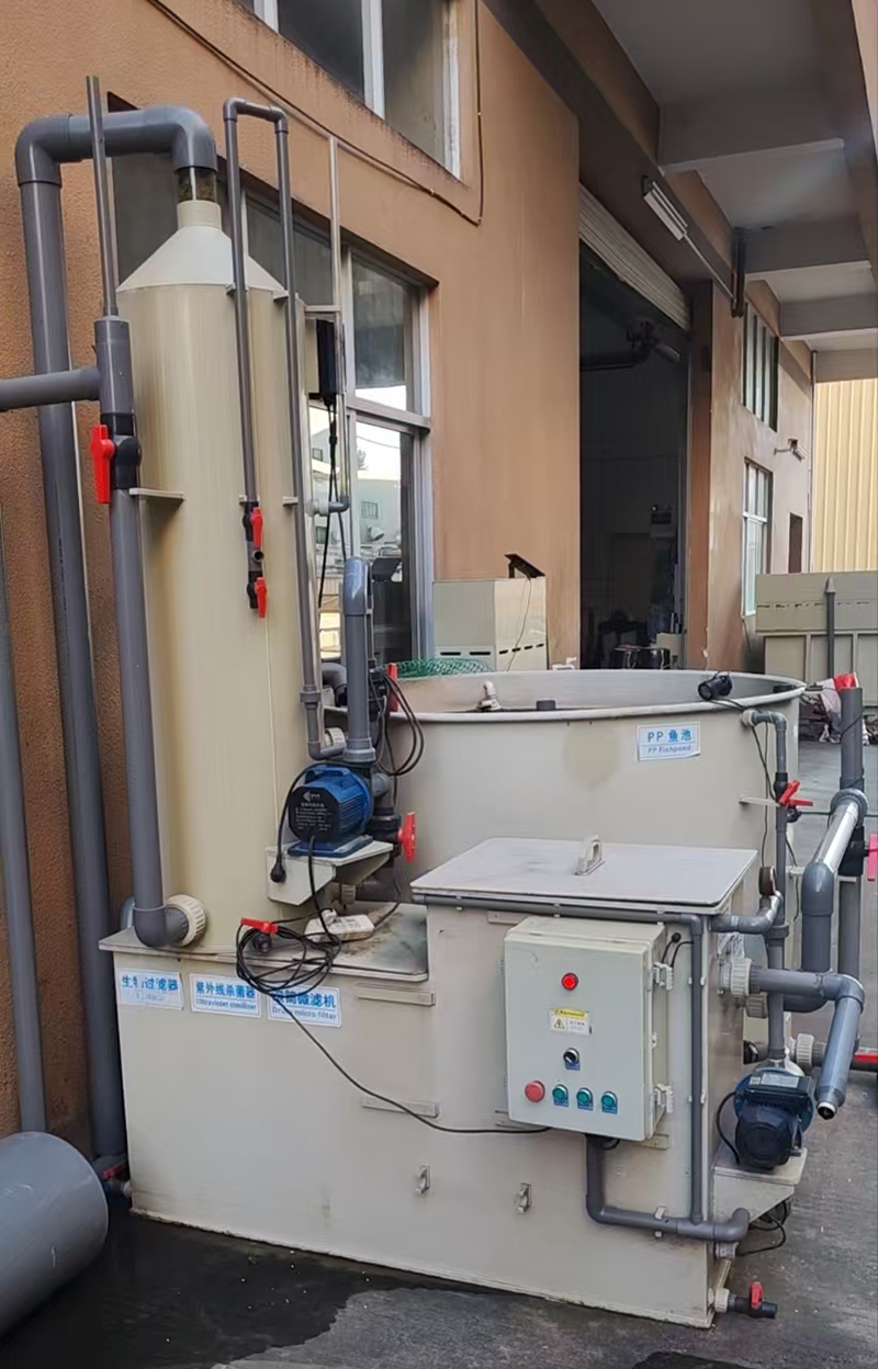 Round PP Fishpond (10)