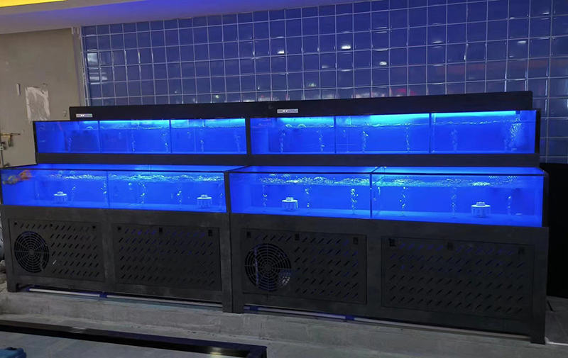Cuboid seafood tank (10)