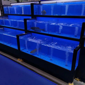 Cuboid three-tier seafood tank