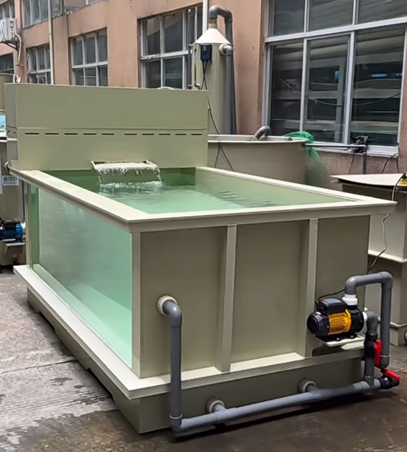 Square Beige PP Fishpond (2)