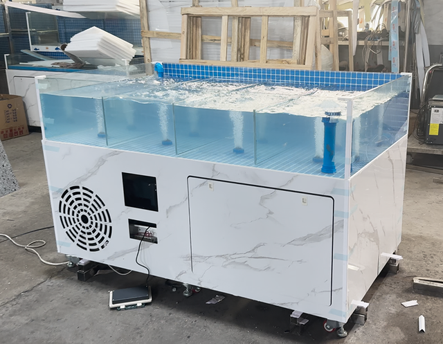 Supermarket seafood tanks