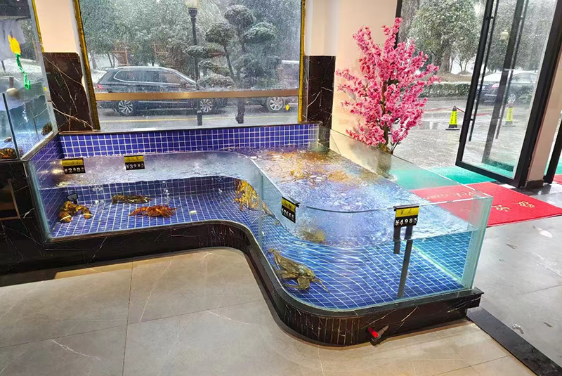 Supermarket seafood tanks