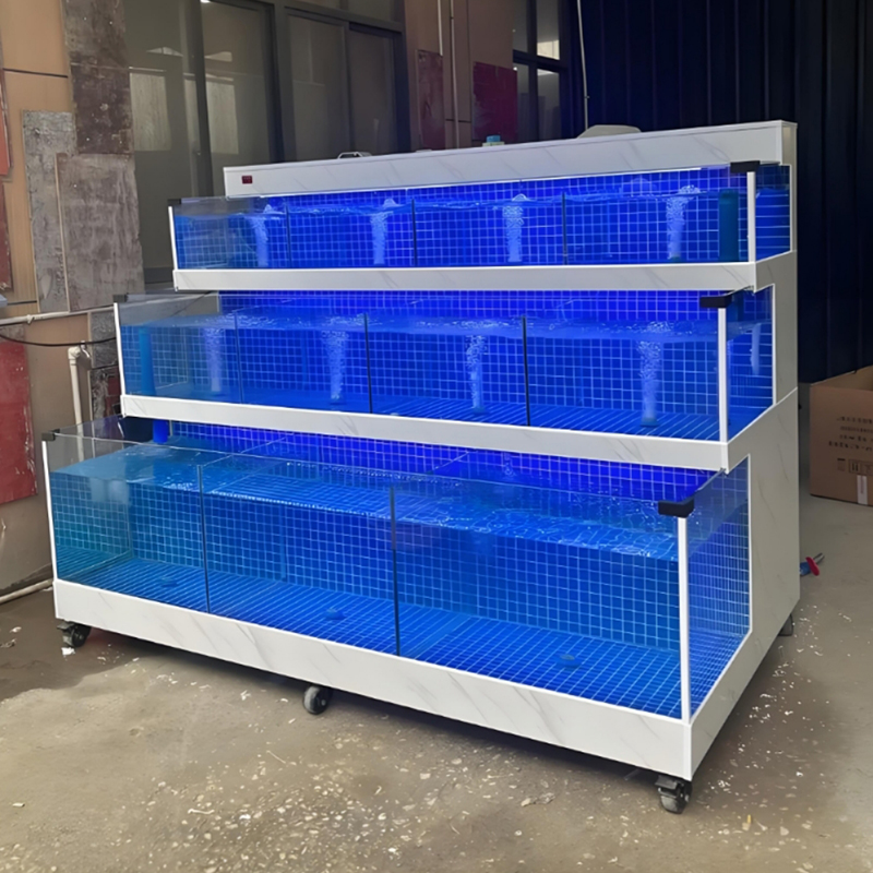 Supermarket seafood tanks